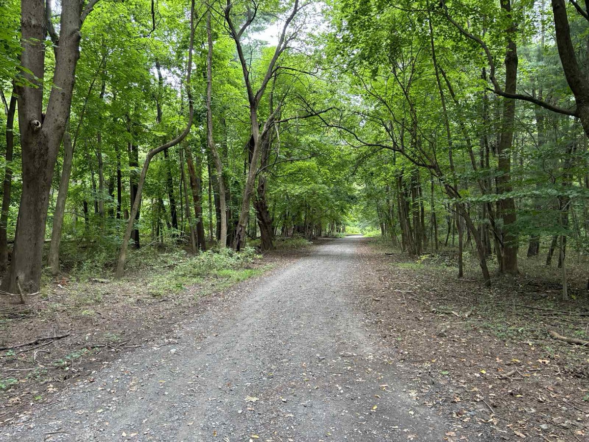 Nature walking trail through Neshaminy State Park in Bensalem Township, Bucks County PA