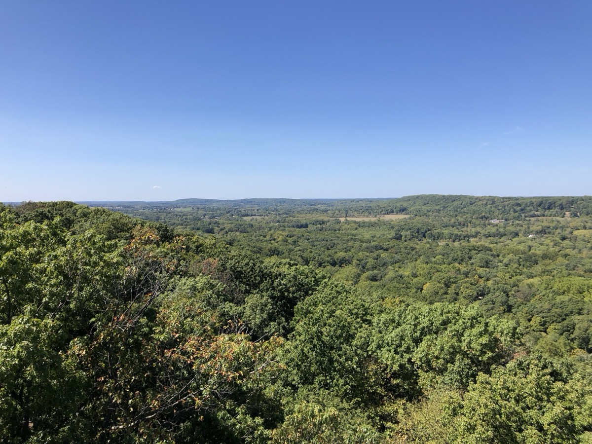 View from Bowman's Hill Tower over Upper Makefield's forested farmland, Bucks County PA