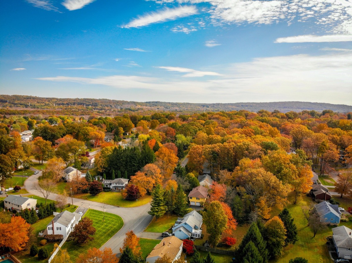 Aerial view of a leafy suburban neighborhood representative of Warrington Township, Bucks County PA